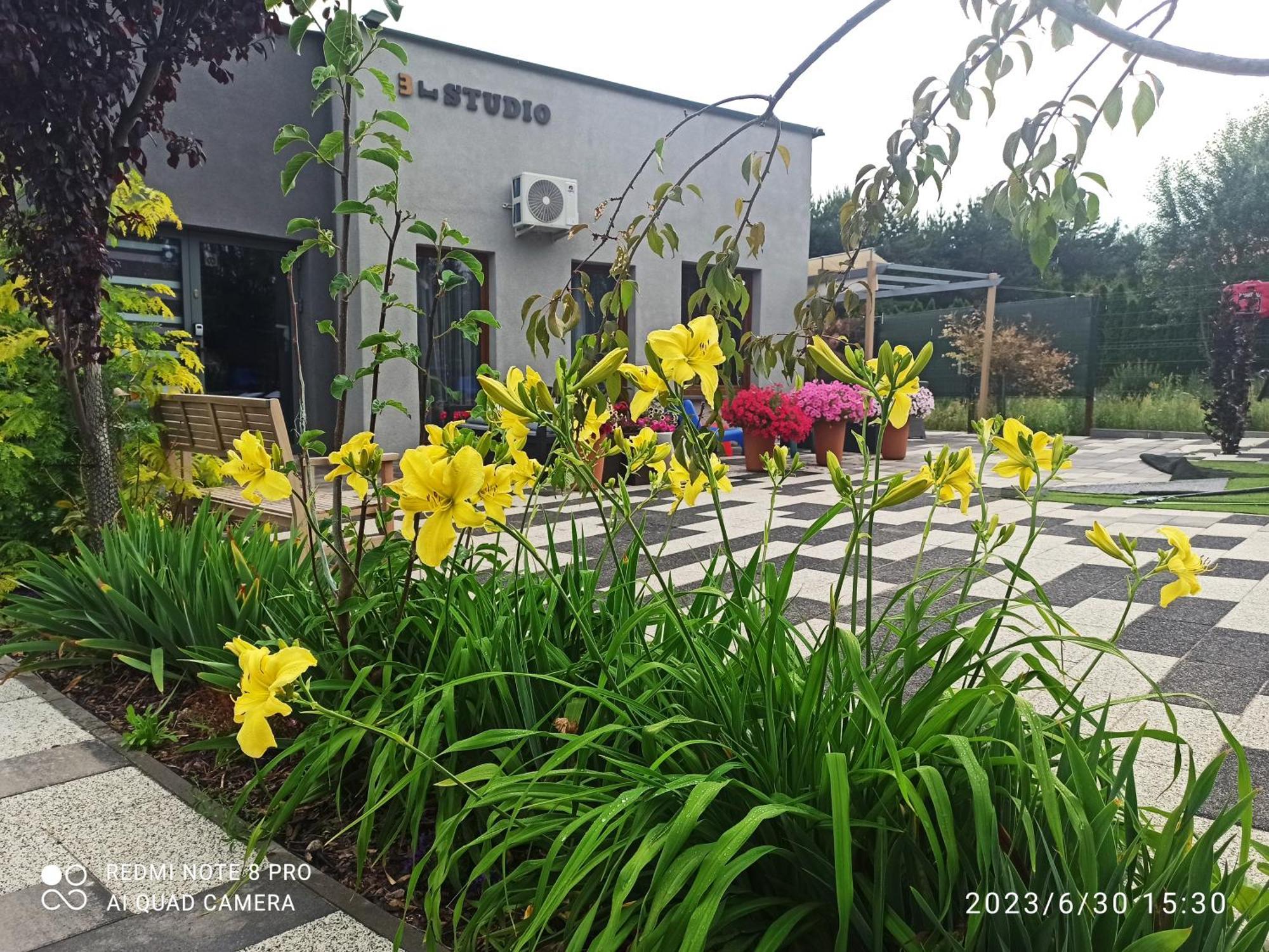 3-Studio พอซนาน ภายนอก รูปภาพ